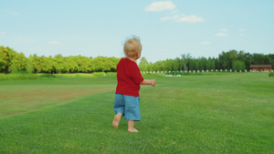 金发小子在绿草地玩得开心11秒视频