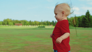 男孩在绿色草原上奔跑26秒视频