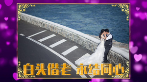 紫色爱心背景浪漫唯美婚礼展示相框特效会声会影模板49秒视频