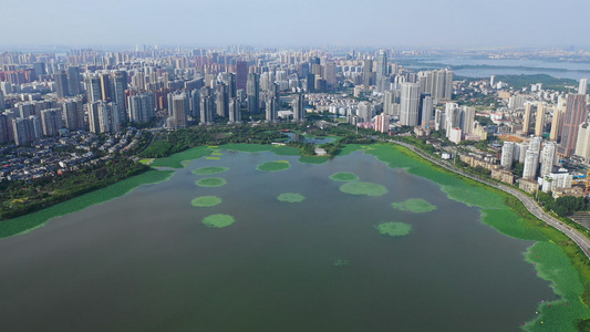 航拍城市依湖而且密密麻麻的楼盘视频