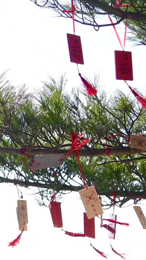 树枝上的祈愿牌许愿牌13秒视频