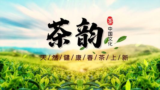 茶道LOGO片头PR模版视频