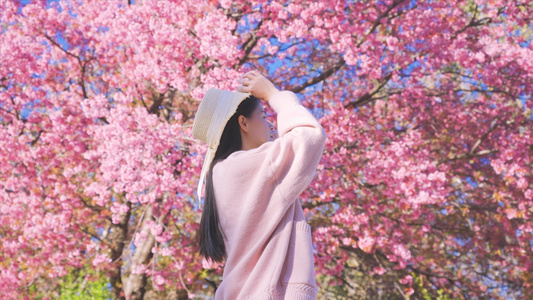 4K升格漫步在樱花树下的少女视频