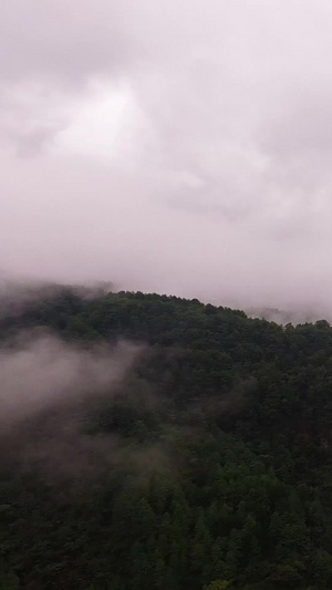 四川大巴山区雨后航拍雨后天晴72秒视频