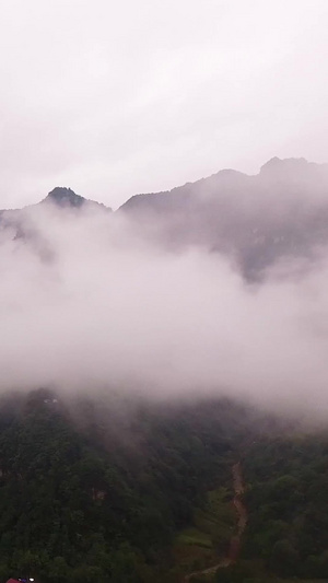 四川大巴山区雨后航拍四川旅游72秒视频