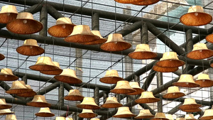 用叶子制成的帽子用来装饰天花板上的灯11秒视频