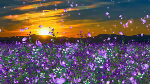 动态大气紫色花海动态粒子花瓣上升视频素材30秒视频