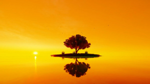 夕阳意境湖面倒影小树25秒视频