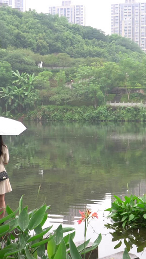 细雨蒙蒙雨中撑伞游公园的女孩雨中女孩58秒视频