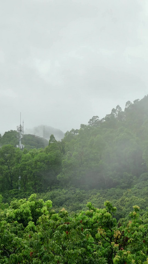 大雾里的信号塔大雾天气23秒视频