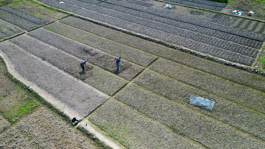 4K航拍田野里劳作耕种的农民视频