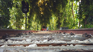 城市风光武汉文艺小清新地标绿野仙踪爱情隧道恋人最爱的铁道轨道4k素材28秒视频