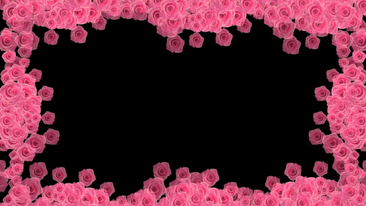 粉红玫瑰边框视频