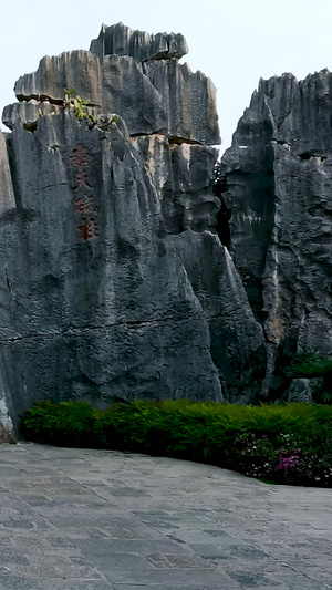 云南昆明5A旅游风景区石林自然风光地质结构36秒视频
