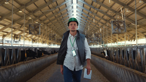 农业企业主步行棚控制畜牧设施的日常工作25秒视频