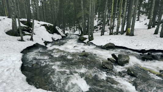 在有雪的冬季森林中的河流视频