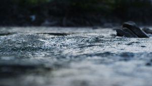 山河中流动清水的特写26秒视频