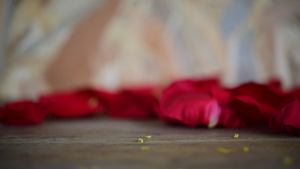 情人节当天木地板上的红玫瑰花6秒视频