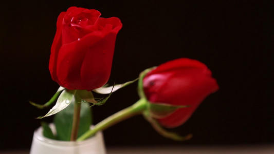 家具生活品味装饰爱情表白红玫瑰花 视频