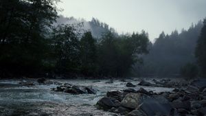 流淌着的溪流在山河中飞溅26秒视频