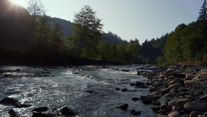 阳光明媚的河床上流淌着清澈溪流27秒视频
