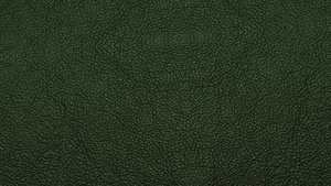 绿色壁皮革背景hd7秒视频