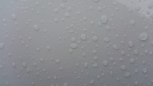 白色背景下有雨滴的近距离视图视频