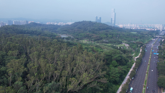 广东深圳莲花山公园视频