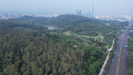 广东深圳莲花山公园视频