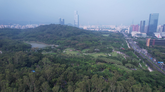 广东深圳莲花山公园视频