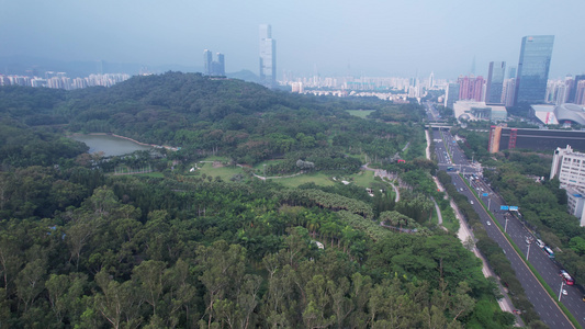 广东深圳莲花山公园视频