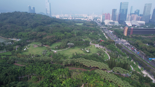 广东深圳莲花山公园视频