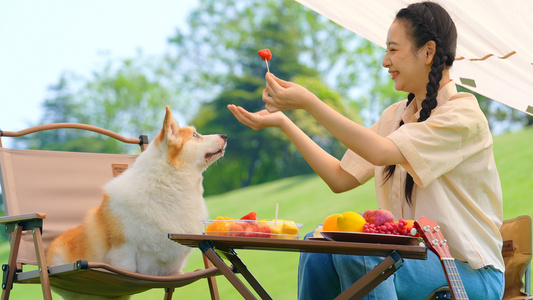 美女带狗公园露营休闲玩耍视频