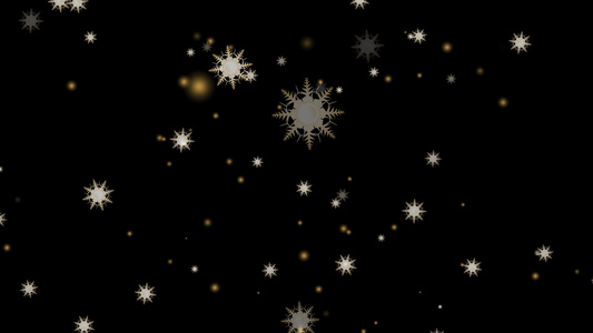 黑屏上落下的八根枝刺圣诞节和圣诞节前夕的冰尘粒子元素视频