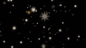 黑屏上落下的八根枝刺圣诞节和圣诞节前夕的冰尘粒子元素20秒视频