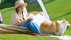 年轻美女带狗公园露营休闲看书65秒视频