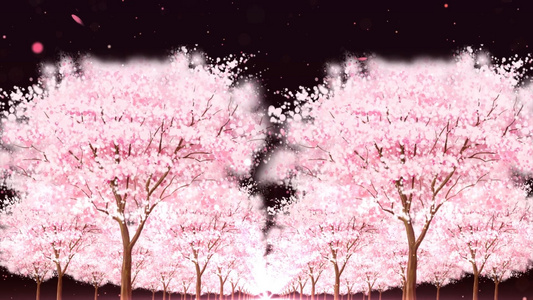 唯美动态樱花树穿梭动态背景视频素材视频