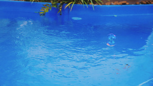 肥皂泡从游泳池飞过跳到水上13秒视频