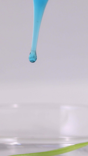 将实验溶液滴在豆苗上做实验23秒视频