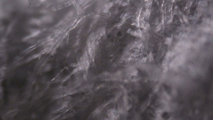 显微镜下的组织组织纸纤维19秒视频
