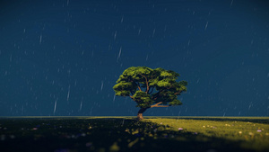 雨中小树三维风光背景26秒视频