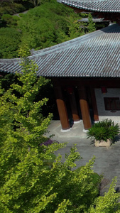 5A衢州根宫佛国景区华夏佛教文化根雕博物馆全景航拍视频主题公园视频