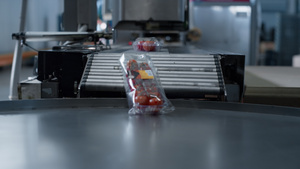 工厂番茄盒包装流水线操作18秒视频