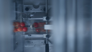 工厂番茄盒包装工艺13秒视频
