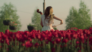 坐在户外春天花园里的大提琴变得面目全非的女人的背影12秒视频