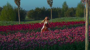 春天在盛开的田野里演奏大提琴的年轻女子12秒视频