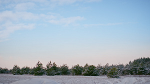 美妙的景色多雪的森林与常青树在冬季蓝天下13秒视频