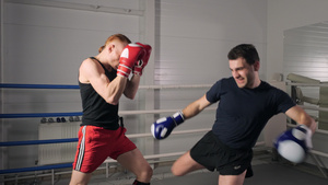 两名拳击手在搏击俱乐部的拳击台上训练腿踢8秒视频