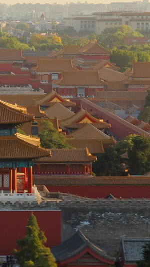 北京地标大气故宫博物院15秒视频