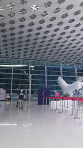 【游客无肖像权，请勿商用】机场行李托运办理深圳机场视频